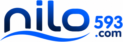 Logo de nilo593.com